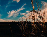 免费ddos在线攻击