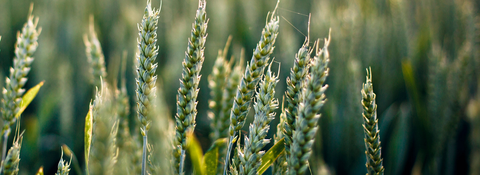 运行流畅持久的ddos攻击测试